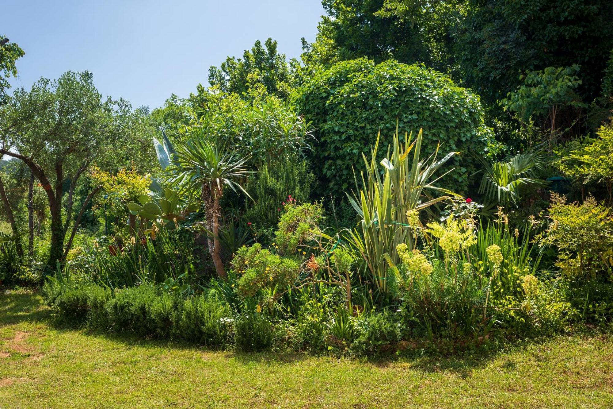 Villa Mareonda - Apartments Sussurro Rovinj Extérieur photo